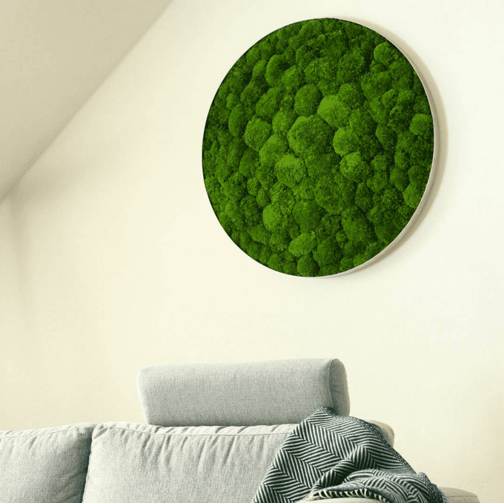 flowerbox-ballmossframe-mosswall