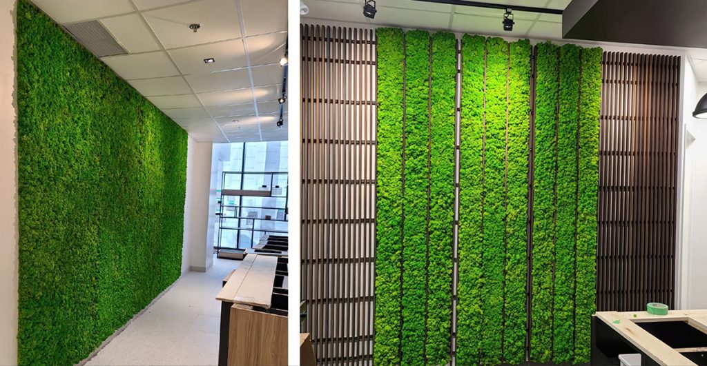 flowerbox-chefstable-mosswall