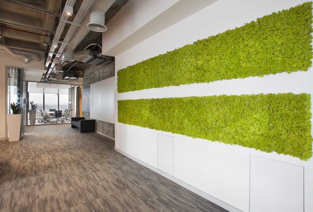 flowerbox-egemenoglu-mosswall