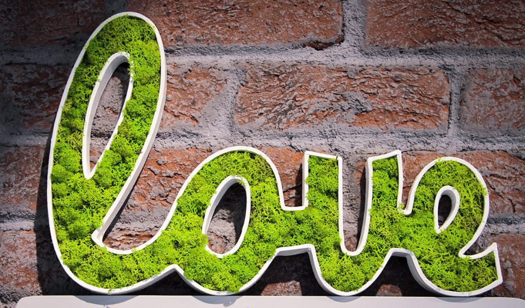 flowerbox-loveimage-mosswall