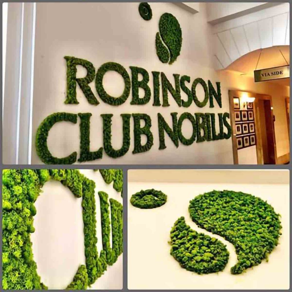 flowerbox-robinspn-logo